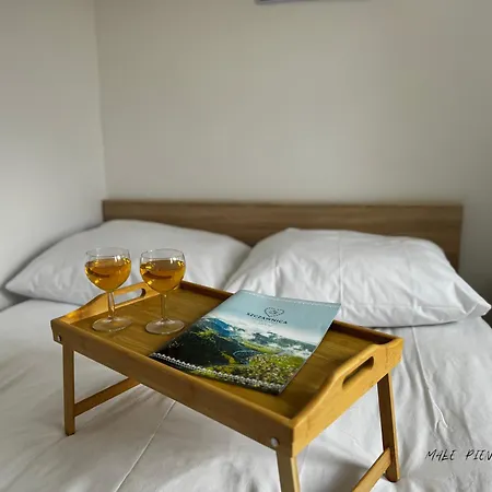 Male Pieniny Apartment
